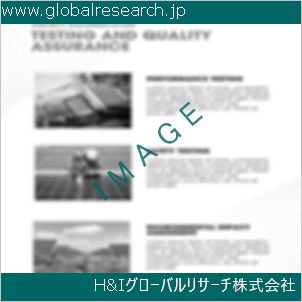 グローバルリサーチ調査資料のイメージ